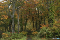 撮って出し-Canon EOS 6D-60.0-23_10_16_IMG_632