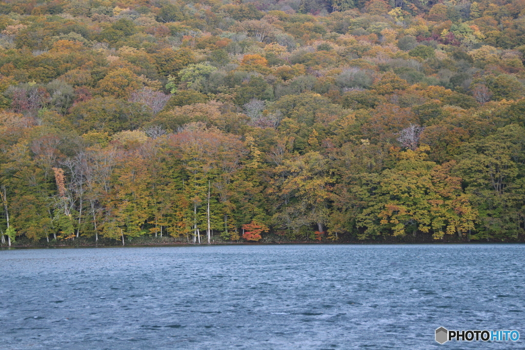 撮って出し(2025-10-27_05-56)-(Canon EOS 6D-90