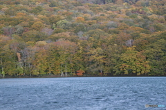 撮って出し(2025-10-27_05-56)-(Canon EOS 6D-90