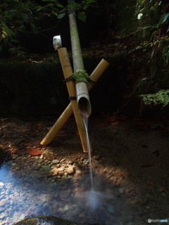 撮って出し-E-M5-14.0-22_10_26-1