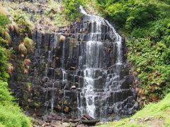 撮って出し(2024-09-03_10-38)-(E-M5-29(OLYMPUS