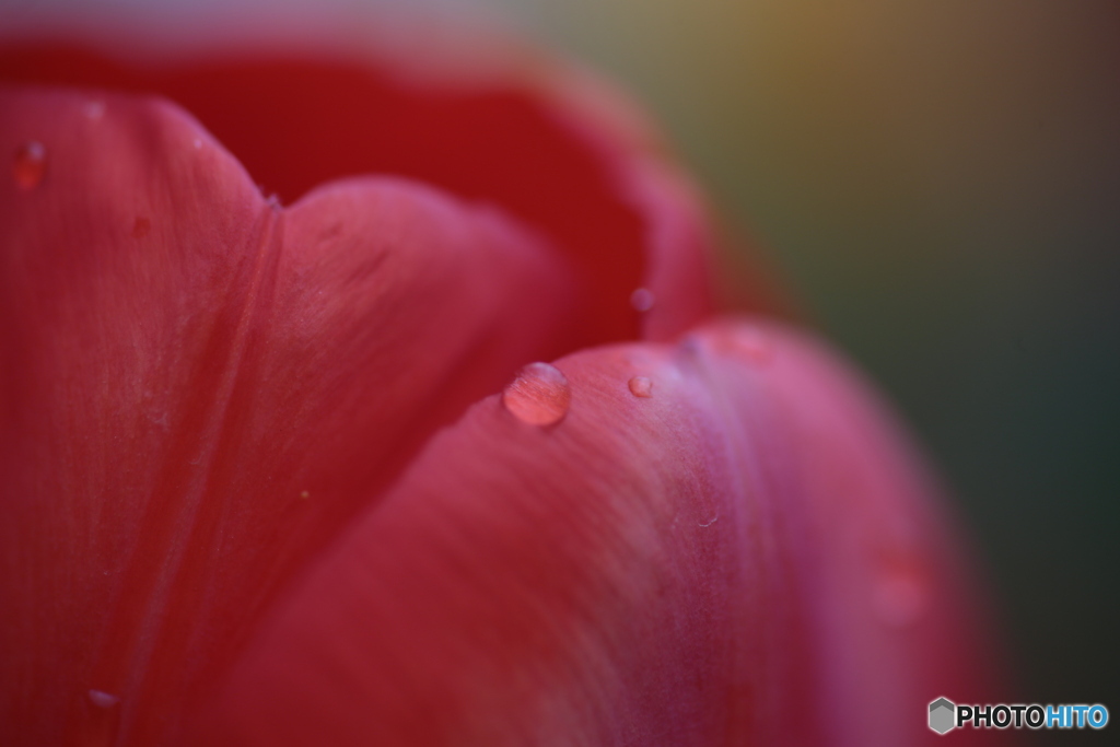 撮って出し(2024-04-17_09-11)-(Canon EOS 6D-90