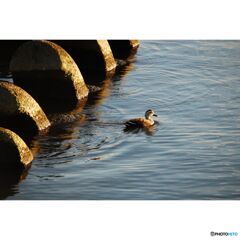 撮って出し(2023-07-06_03-06)--250_2