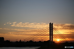 撮って出し(2024-10-14_16-56)-(Canon EOS 6D-90