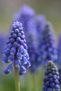 撮って出し(2024-04-18_12-28)-(Canon EOS 6D-90