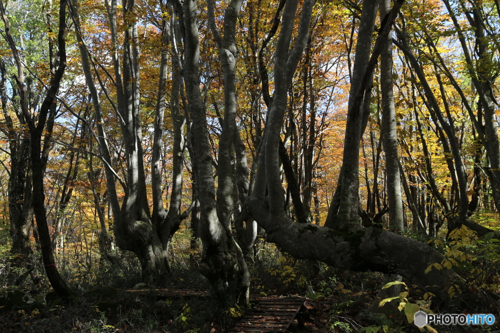 撮って出し(2025-11-04_11-03)-(Canon EOS 6D-47