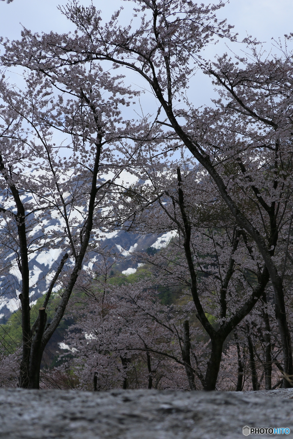 撮って出し-Canon EOS 6D-135.0-41_04_24-11