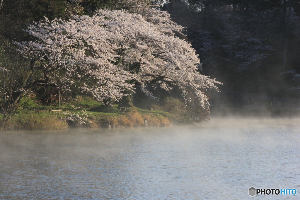 撮って出し-Canon EOS 60D-116.0-22_04_17-0