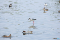 撮って出し(2025-04-27_12-29)-(Canon EOS 60D-2