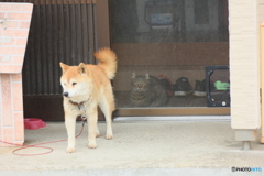 撮って出し(2025-05-09_15-36)-(Canon EOS 60D-1