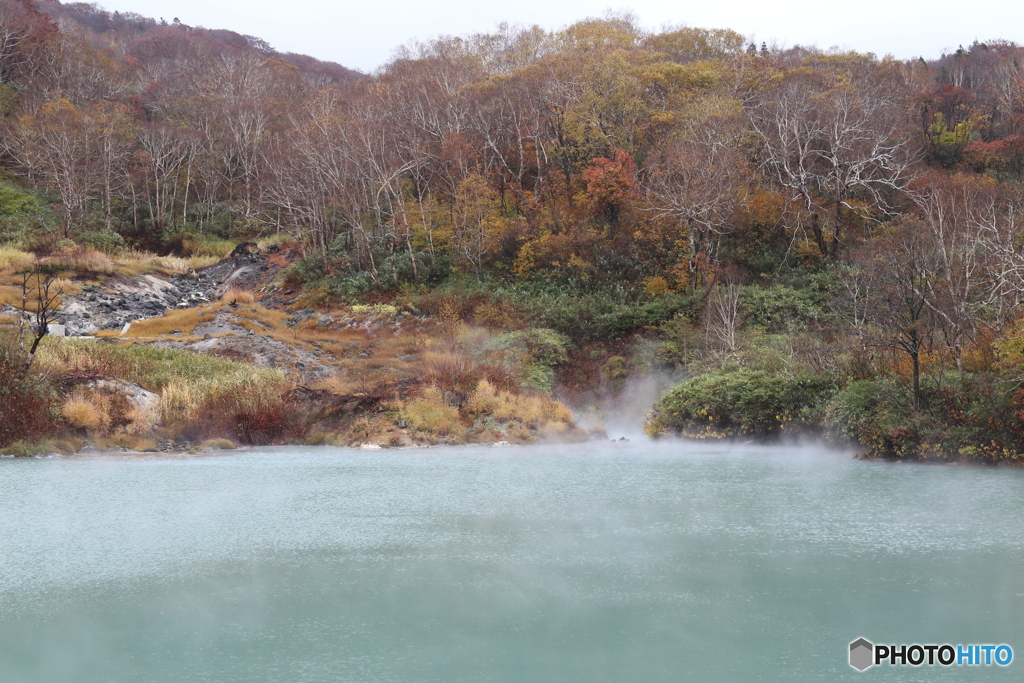 撮って出し(2025-10-27_10-32)-(Canon EOS 6D-60