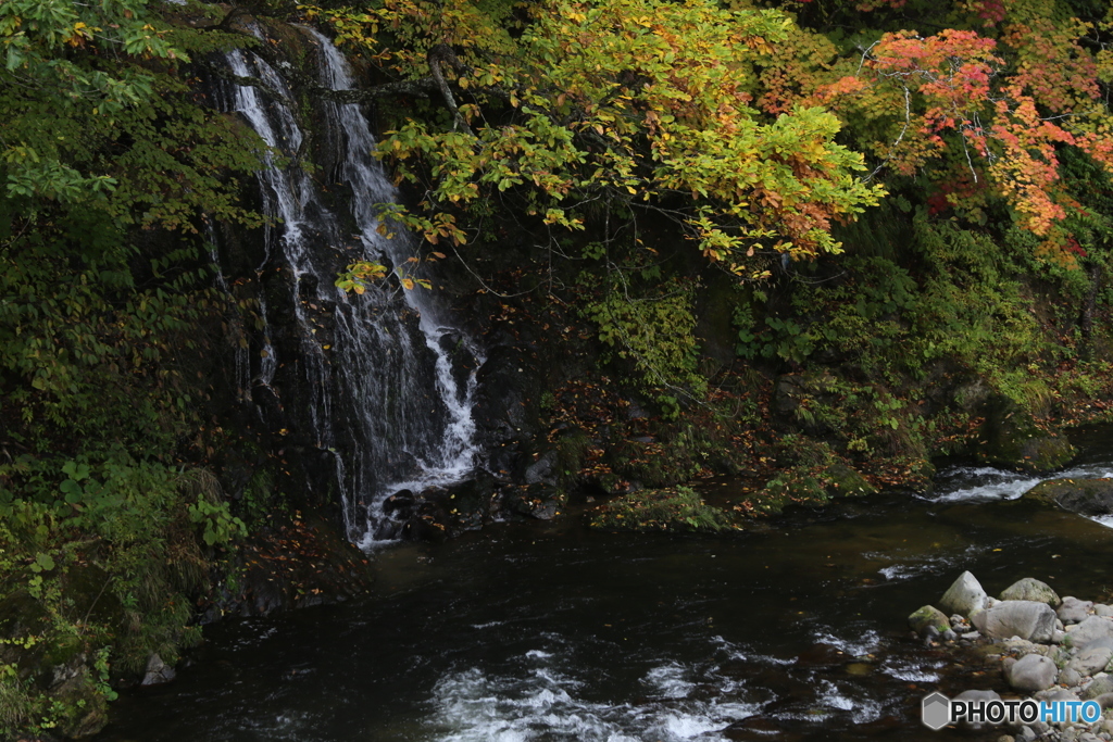 撮って出し(2025-10-27_11-49)-(Canon EOS 6D-90