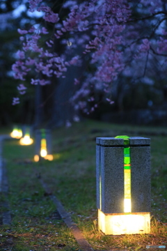 撮って出し-Canon EOS 6D-90.0-41_04_13-13