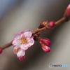 撮って出し-E-M5-0.0-41_03_09-2