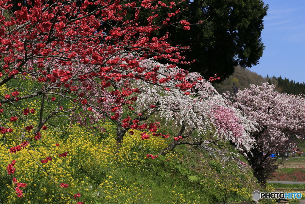 撮って出し-Canon EOS 6D-90.0-41_04_25-6