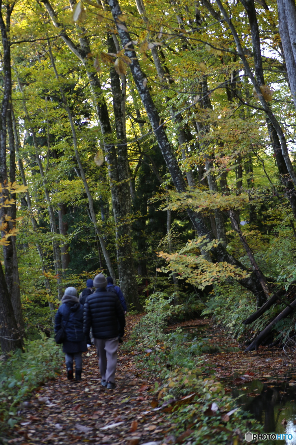 撮って出し(2025-10-27_06-43)-(Canon EOS 6D-90