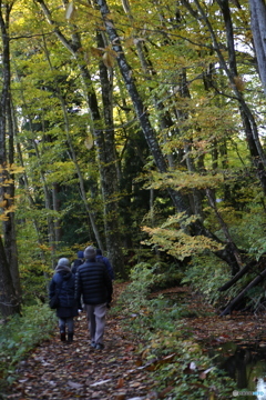 撮って出し(2025-10-27_06-43)-(Canon EOS 6D-90