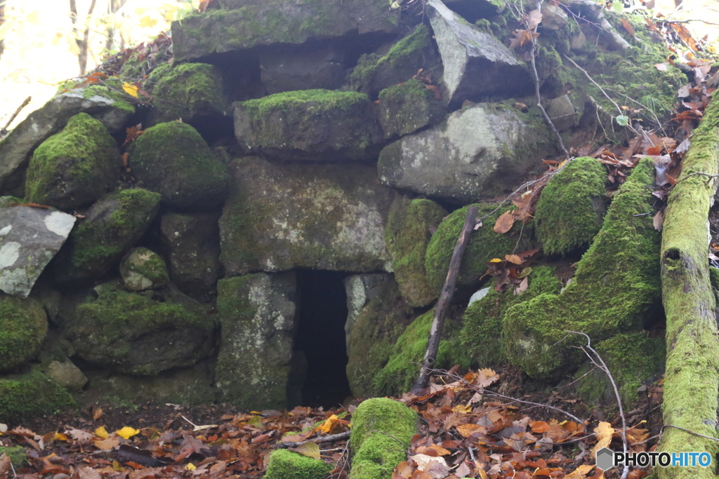 撮って出し(2025-11-04_08-51)-(Canon EOS 6D-60