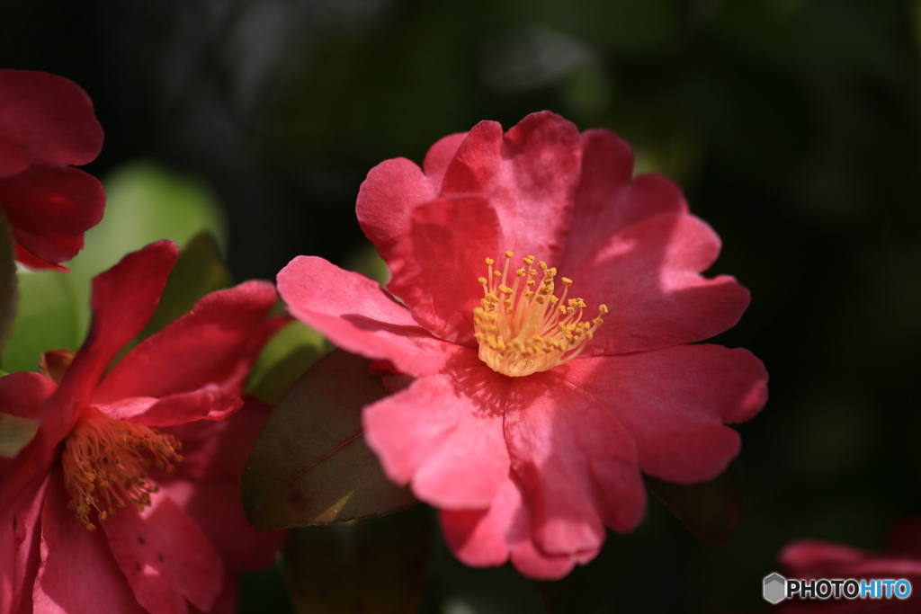 撮って出し(2024-03-31_10-10)-(Canon EOS 6D-90