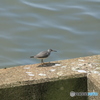 撮って出し(2024-05-11_10-09)-(Canon EOS 60D-2