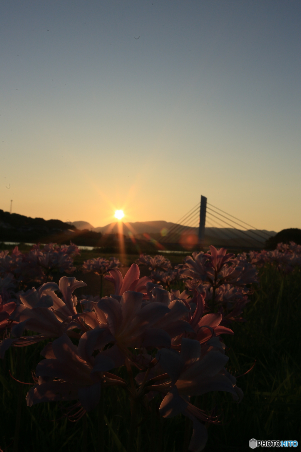 撮って出し-Canon EOS 6D-35.0-23_08_22_IMG_544