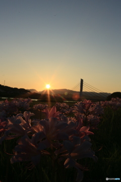 撮って出し-Canon EOS 6D-35.0-23_08_22_IMG_544