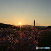 撮って出し-Canon EOS 6D-35.0-23_08_22_IMG_544