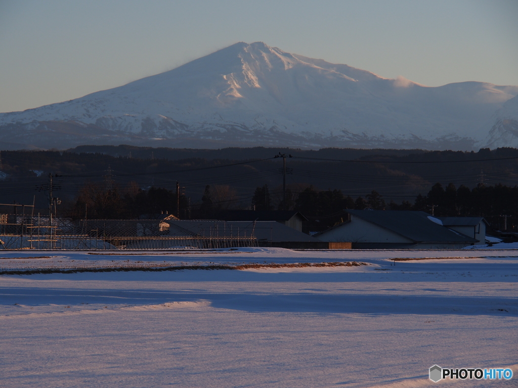 撮って出し(2025-01-19_16-11)-(E-M5-80(OLYMPUS