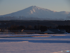 撮って出し(2025-01-19_16-11)-(E-M5-80(OLYMPUS