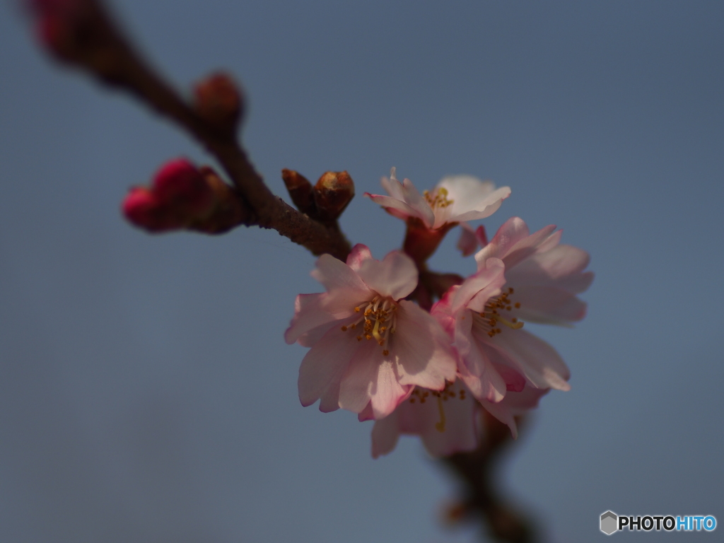 撮って出し-E-M5-0.0-41_03_09-1