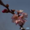 撮って出し-E-M5-0.0-41_03_09-1