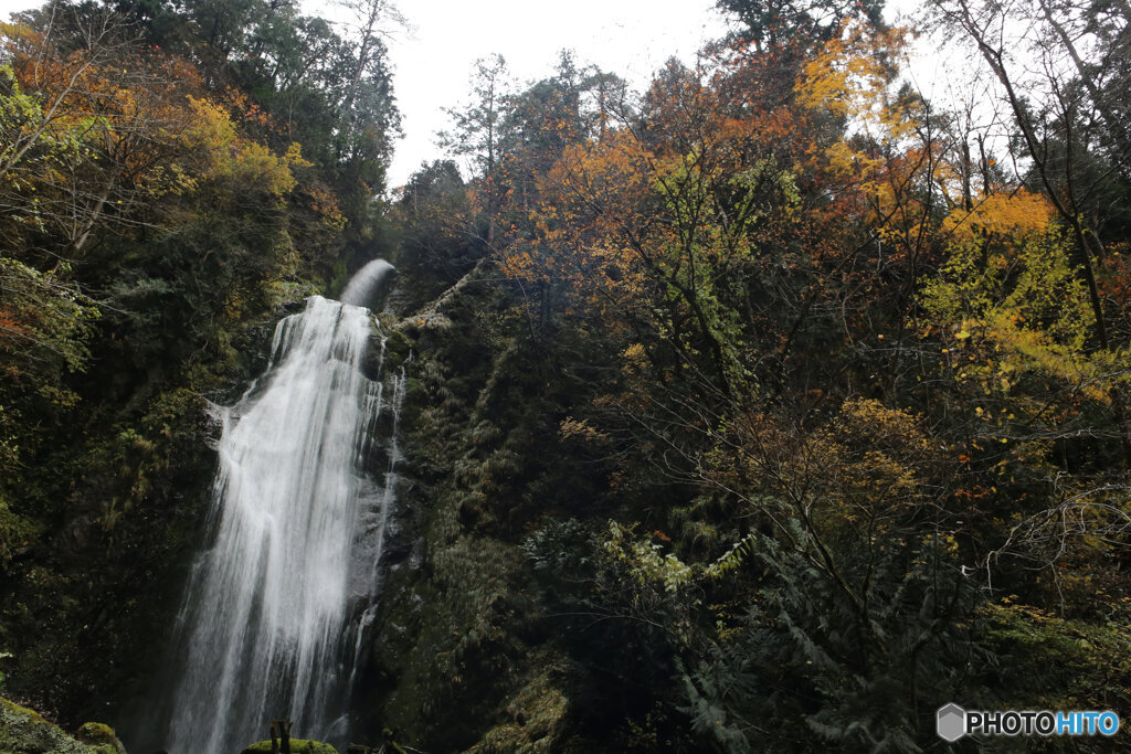 撮って出し(2025-11-07_13-06)-(Canon EOS 6D-24