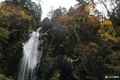 撮って出し(2025-11-07_13-06)-(Canon EOS 6D-24