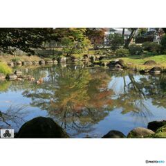 撮って出し(2023-11-03_11-09)-65-EF28-135mm f-