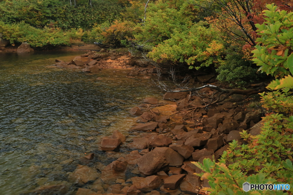 撮って出し-Canon EOS 6D-38.0-23_10_16_IMG_637