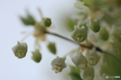 撮って出し(2025-04-25_10-21)-(Canon EOS 60D-9