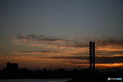 撮って出し(2024-10-14_17-02)-(Canon EOS 6D-90