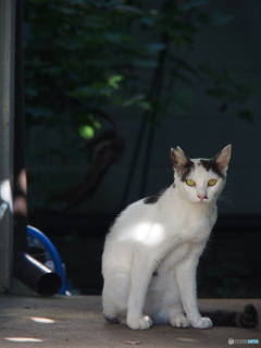 撮って出し-E-M5-100.0-22_08_29-0