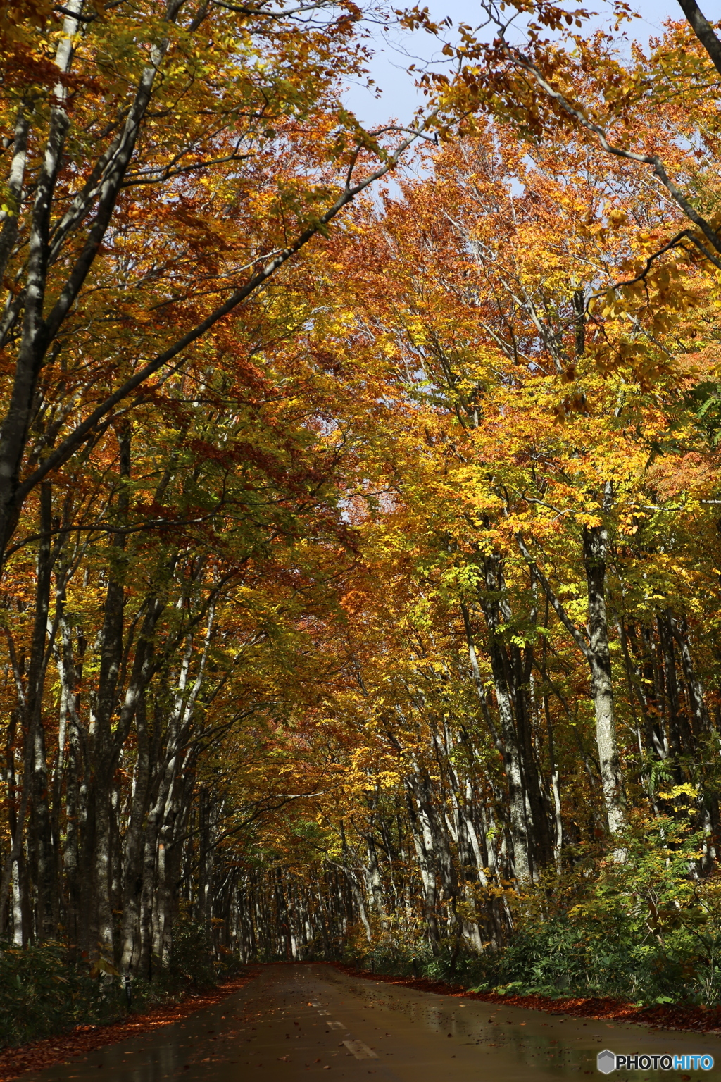 撮って出し(2025-10-27_09-51)-(Canon EOS 6D-90