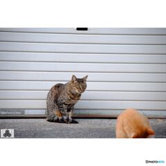 撮って出し(2023-10-13_16-51)-50--X-E1