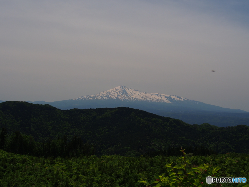 撮って出し(2024-05-15_11-49)-(E-M5-29(OLYMPUS