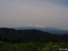 撮って出し(2024-05-15_11-49)-(E-M5-29(OLYMPUS