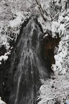 撮って出し-Canon EOS 6D-115.0-40_12_20-0
