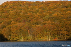 撮って出し(2025-10-27_06-31)-(Canon EOS 6D-90