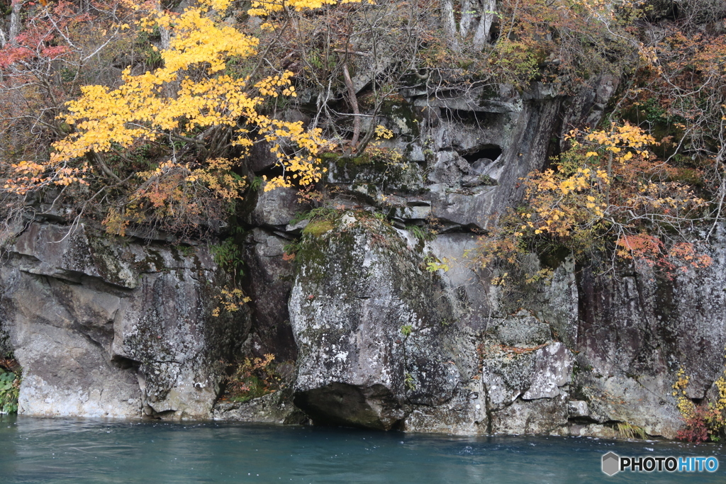 撮って出し(2025-11-04_12-59)-(Canon EOS 6D-10