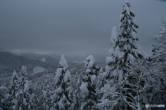 撮って出し-Canon EOS 6D-28.0-40_12_20-0