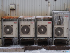 撮って出し(2025-02-12_08-58)-(E-M5-22(OLYMPUS