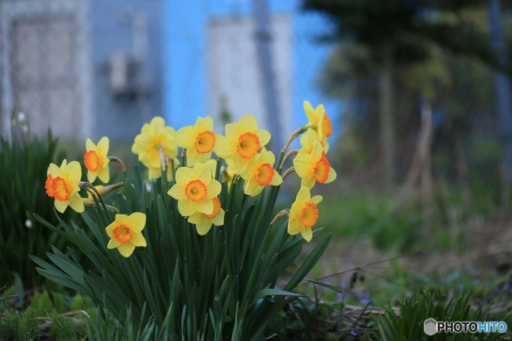 撮って出し-Canon EOS 6D-90.0-41_04_13-1