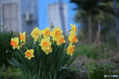 撮って出し-Canon EOS 6D-90.0-41_04_13-1