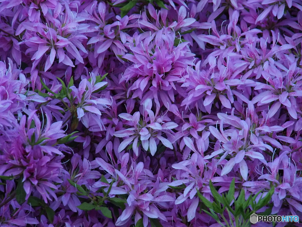 撮って出し-E-M5-150.0-23_05_09-0